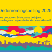 Rapport Ondernemingspeiling 2025